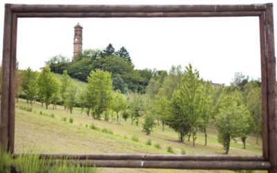 DISTILLERIA BERTA: ALLA RICERCA DELL’ASSENZIO PERDUTO