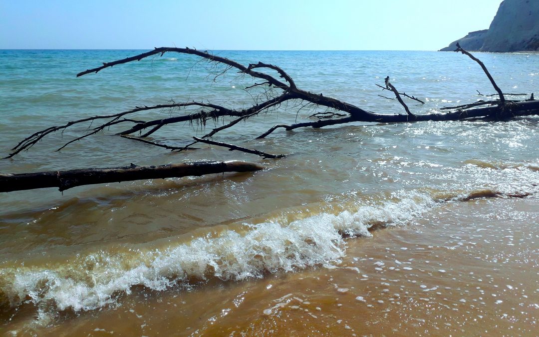 INTERVENTI PER FRENARE L’EROSIONE COSTIERA NELLA SPIAGGIA DI ERACLEA MINOA